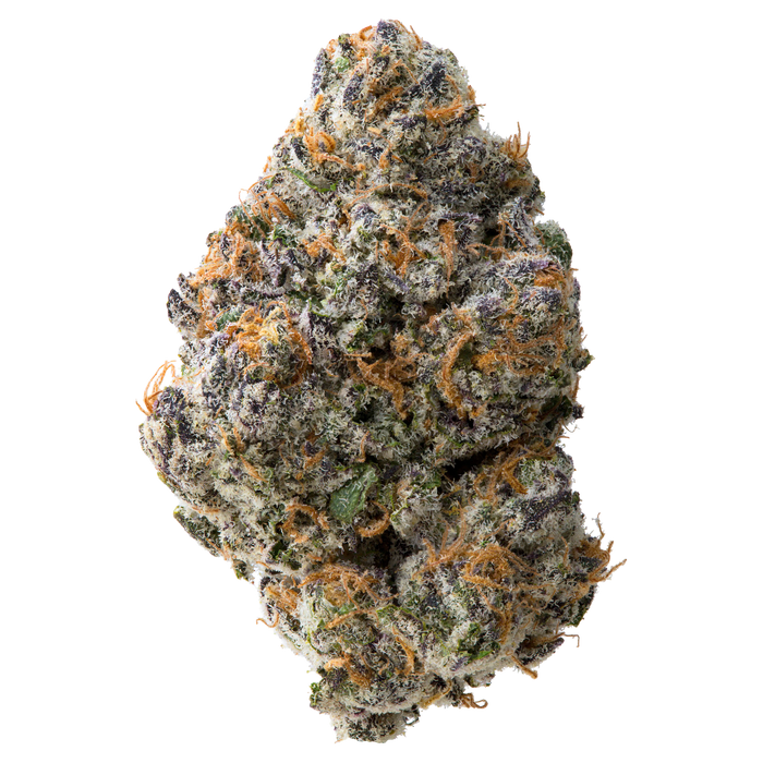 Night Walker nug