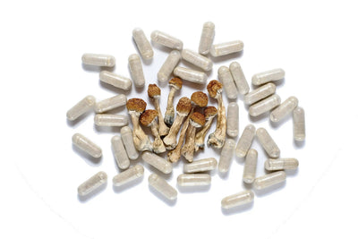 Non Detect Magic Mushroom Capsules 