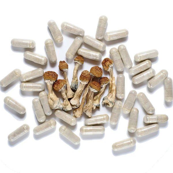 Non Detect Magic Mushroom Capsules 