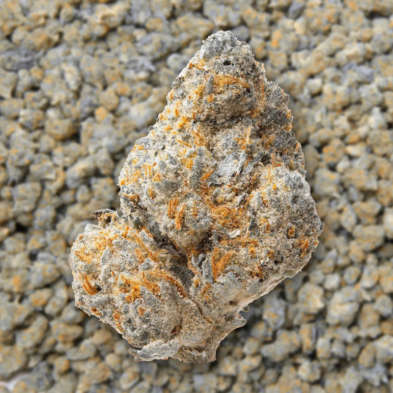 Northern Lights Smalls THCa Flower supergreenshempco