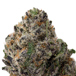 Northern Lights Exotic THCa Flower macro