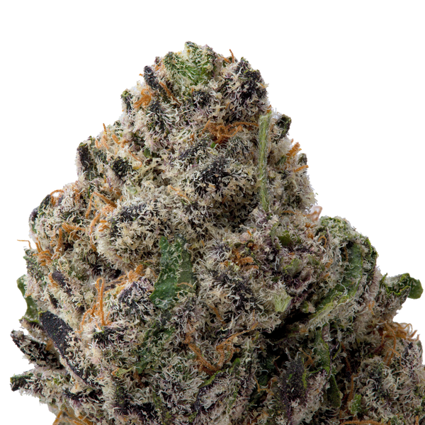 Northern Lights Exotic THCa Flower macro