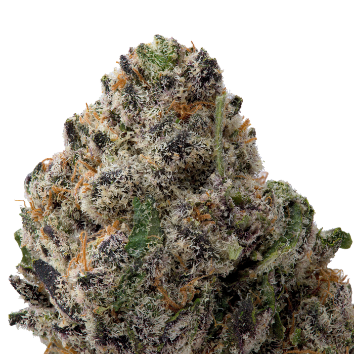 Northern Lights Exotic THCa Flower macro