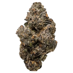 Obama Runtz THCa Flower Ounce supergreenshempco