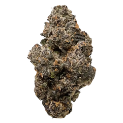 Obama Runtz THCa Flower supergreenshempco