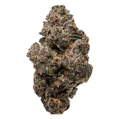 Obama Runtz THCa Flower supergreenshempco