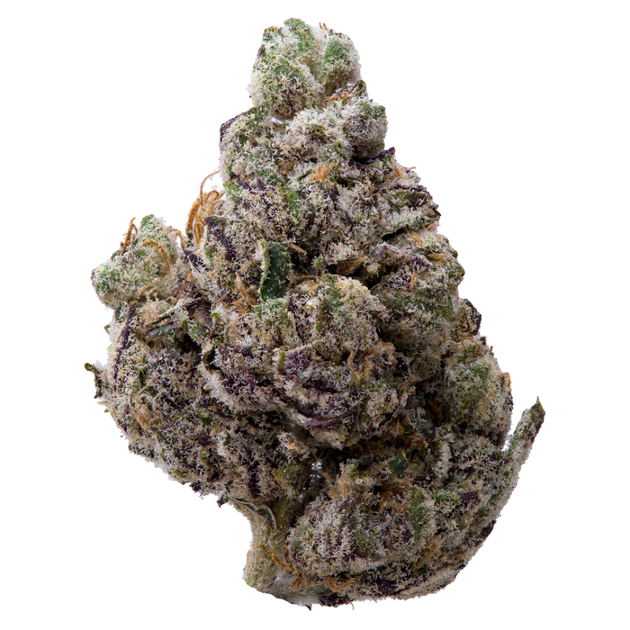 Obama Runtz THCA Flower nug