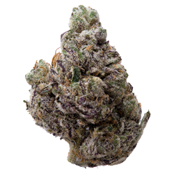 Obama Runtz THCA Flower nug