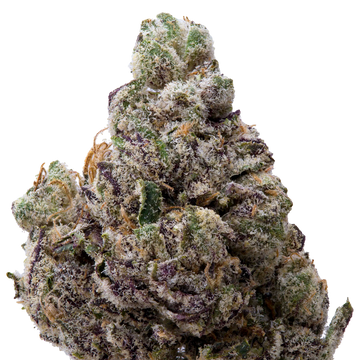 Obama Runtz THCA Flower 