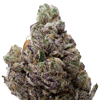Obama Runtz THCA Flower 