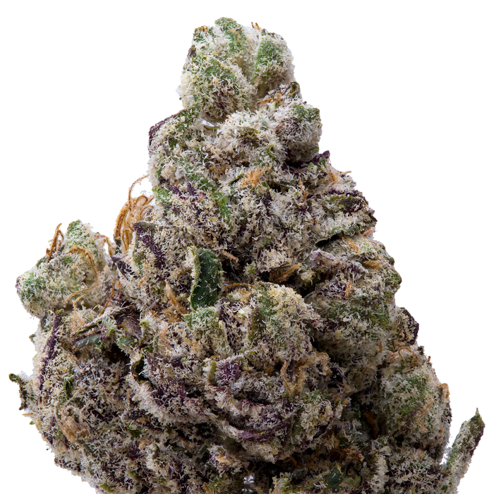 Obama Runtz THCA Flower 