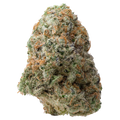 Orange Miracle Alien Cookies THCa Flower 
