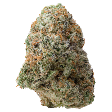 Orange Miracle Alien Cookies THCa Flower 