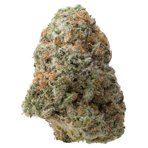 Orange Miracle Alien Cookies THCa Flower 