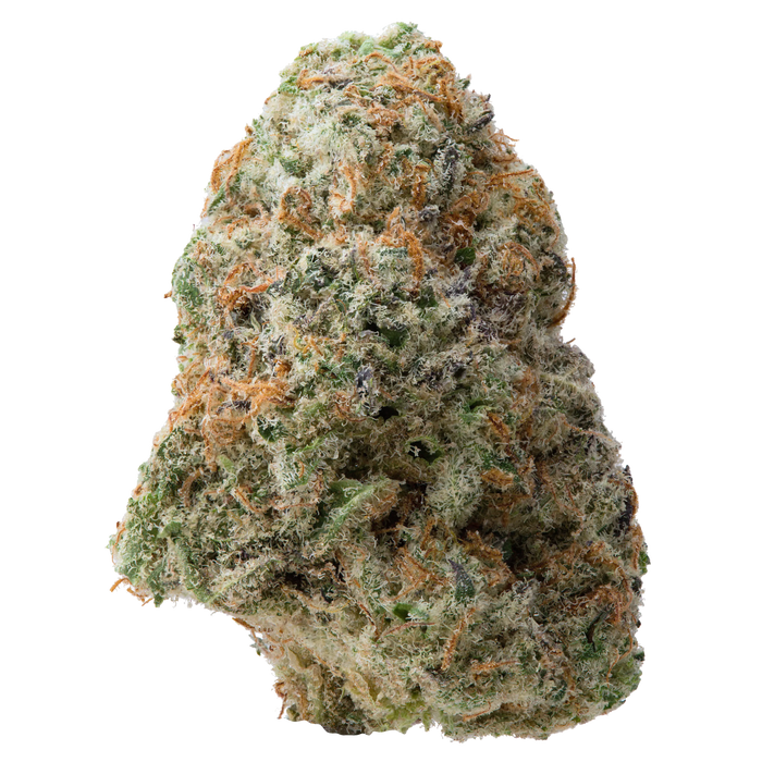 Orange Miracle Alien Cookies THCa Flower 