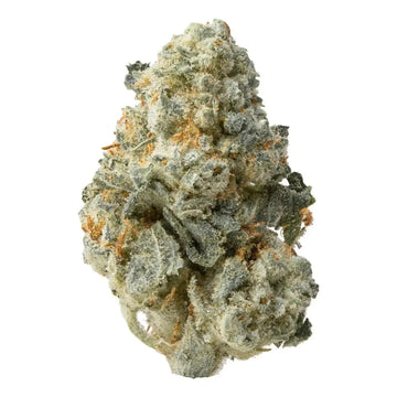 Orange Push Pop Smalls THCa Flower Ounce supergreenshempco