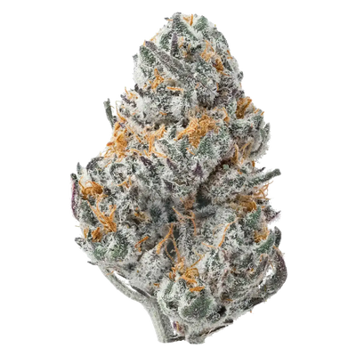 Oreo Smalls THCa Flower supergreenshempco