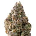 Papaya THCA Flower Macro
