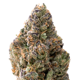 Papaya THCA Flower
