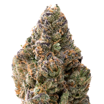 Papaya THCA Flower Macro