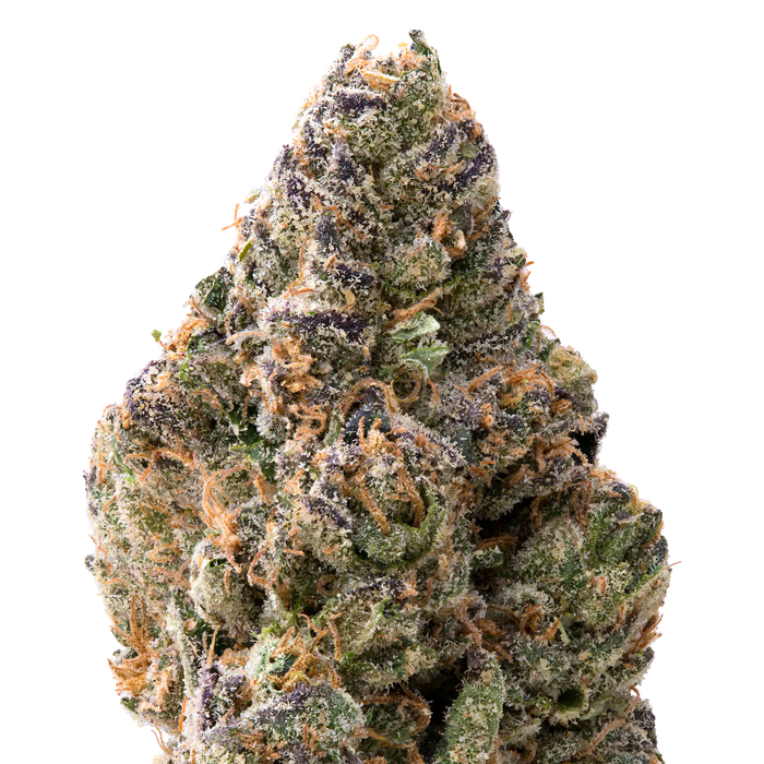 Papaya THCA Flower Macro