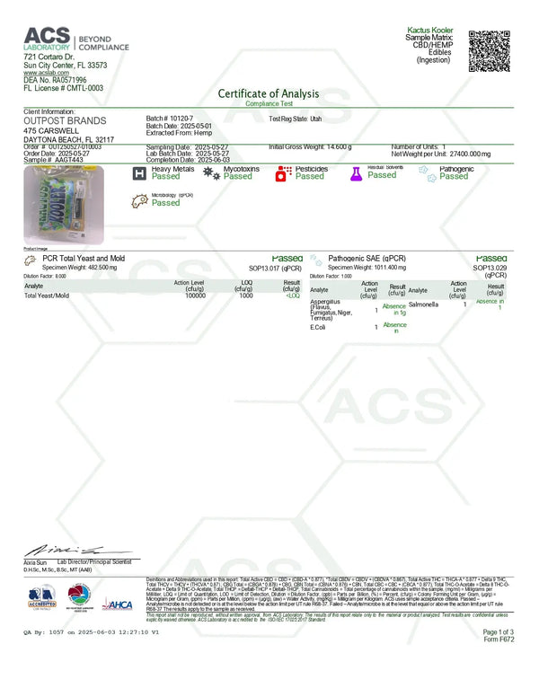100mg Gummies | Kactus Kooler 