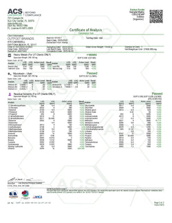 100mg Gummies | Kactus Kooler 