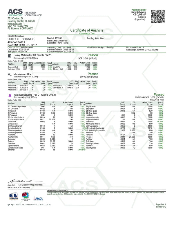 100mg Gummies | Kactus Kooler 
