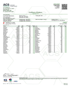 100mg Gummies | Kactus Kooler 