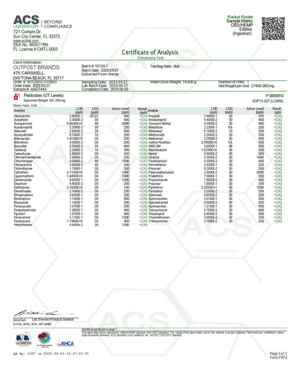 100mg Gummies | Kactus Kooler 
