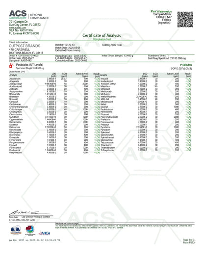 100mg Gummies | Pink Watermelon 