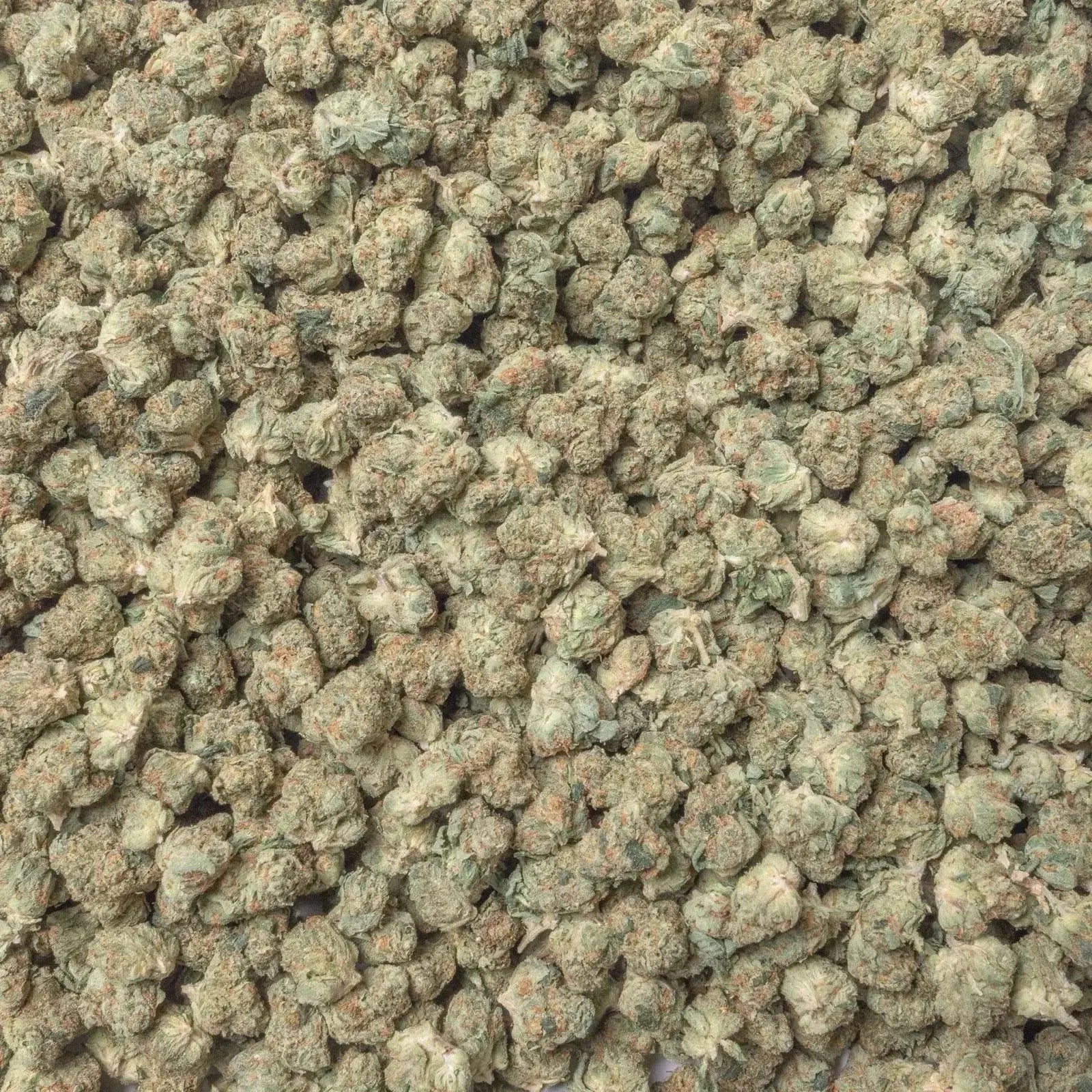 Panama Red Smalls THCa Flower supergreenshempco