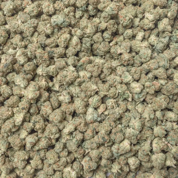 Panama Red Smalls THCa Flower supergreenshempco