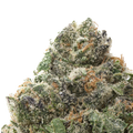 Pineapple Express THCa Flower Ounce 