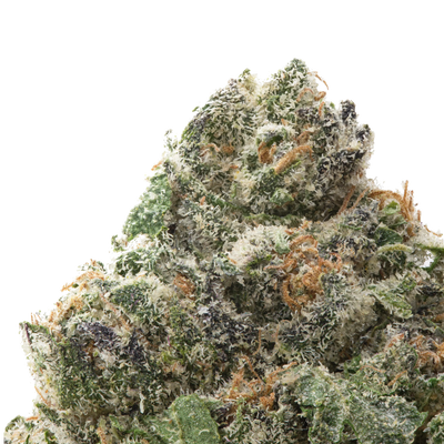Pineapple Express THCa Flower