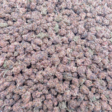 Pink Rozay Smalls THCa Flower supergreenshempco