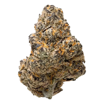 Pink Runtz THCa Flower 