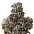 Pink Runtz x Cold Heat THCA Flower 