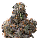 Pink Runtz x Cold Heat THCA Flower