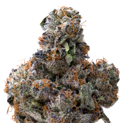 Pink Runtz x Cold Heat THCA Flower  macro