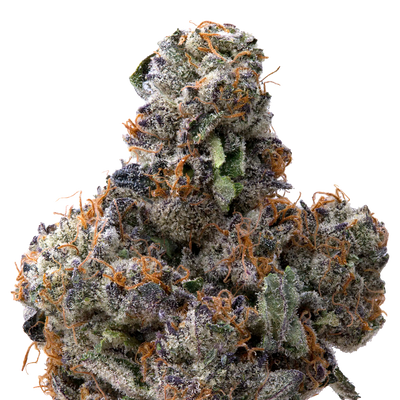 Pink Runtz x Cold Heat THCA Flower  macro