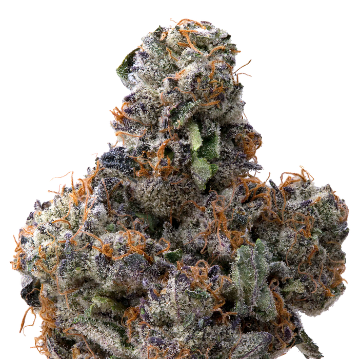 Pink Runtz x Cold Heat THCA Flower  macro