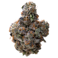 Pink Runtz x Cold Heat THCA Flower 