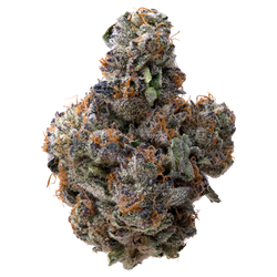 Pink Runtz x Cold Heat THCA Flower 
