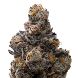 Presidential Runtz THCA Flower