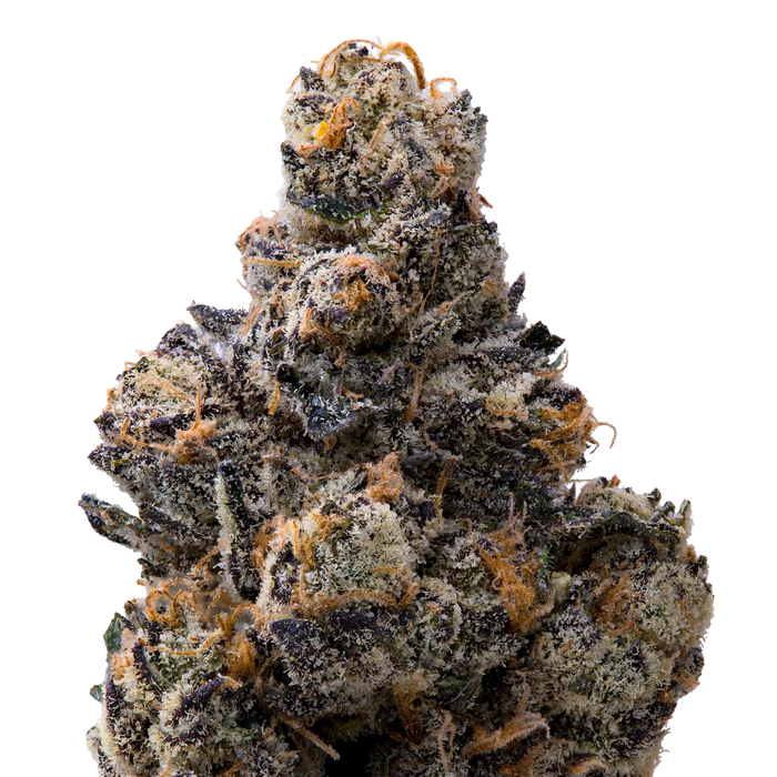 Presidential Runtz THCA Flower macro