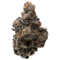 Presidential Runtz THCA Flower 