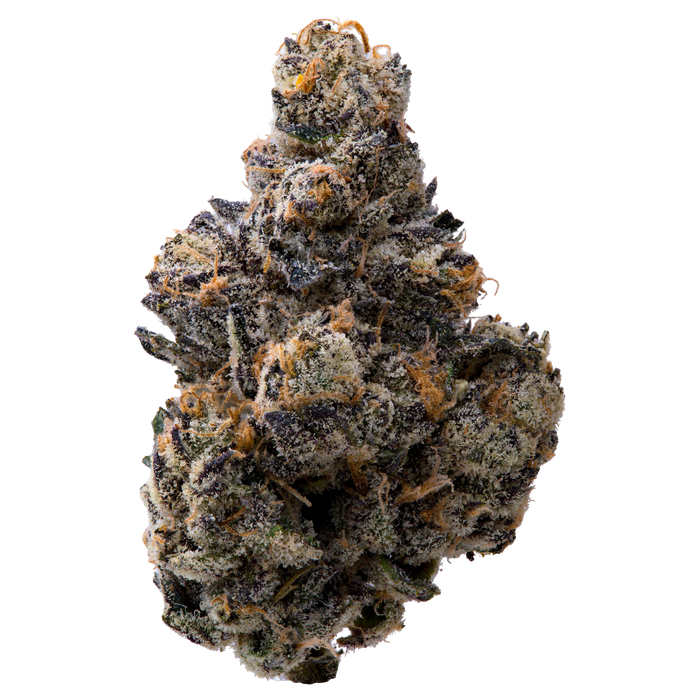 Presidential Runtz THCA Flower nug