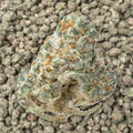 Pure Michigan Exotic Smalls THCa Flower supergreenshempco