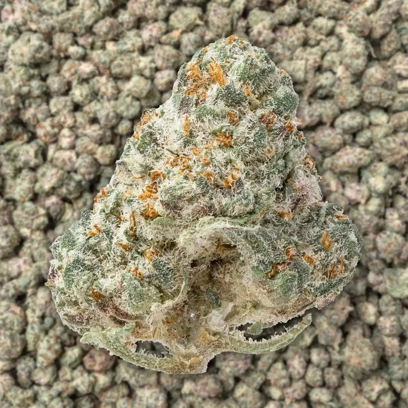 Pure Michigan Exotic Smalls THCa Flower supergreenshempco